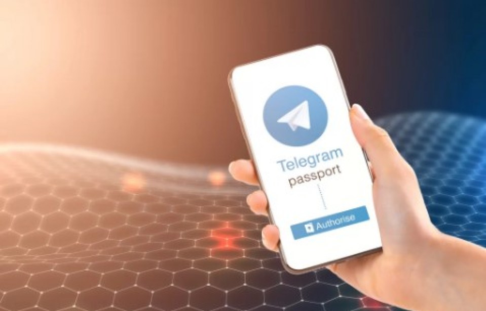 Telegram: a plataforma de mensagens que oferece segurança para a sua empresa
