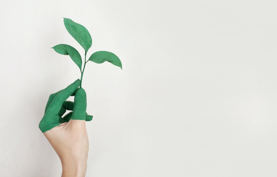 Marketing sustentável: como o marketing pode contribuir para a preservação ambiental e para a construção de uma imagem positiva