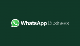 Recursos do Whatsapp