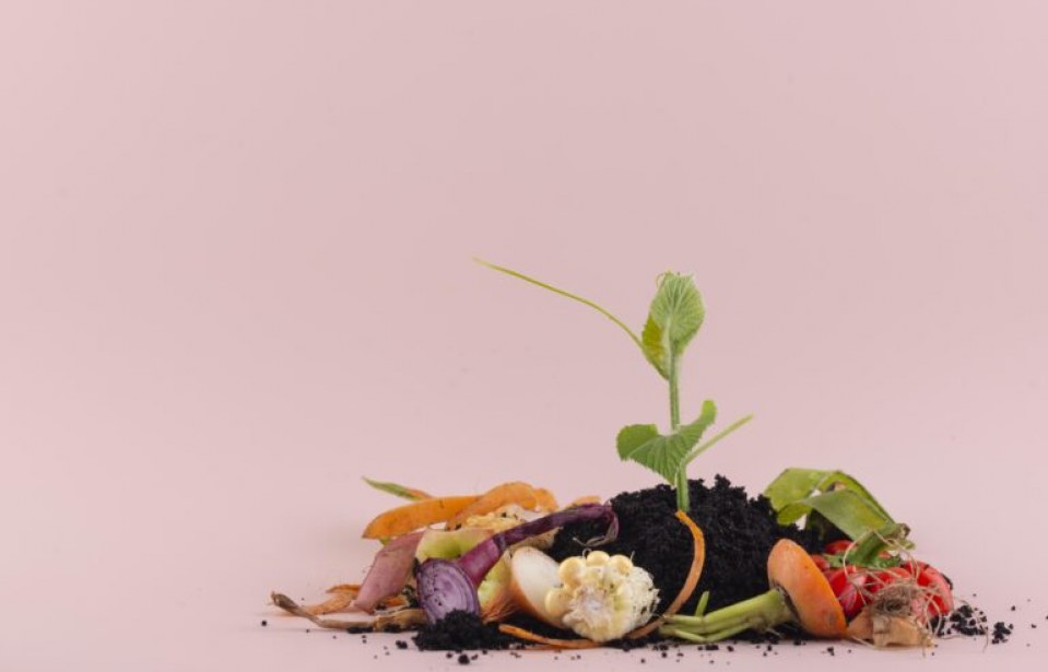 Como Reduzir o Desperdício de Alimentos em Restaurantes: Dicas e práticas