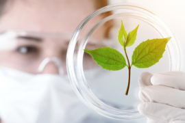 Bioinovação: descobrindo novas fronteiras na biotecnologia, medicina e agricultura