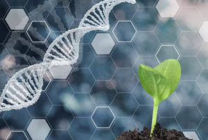 Bioinovação: descobrindo novas fronteiras na biotecnologia, medicina e agricultura
