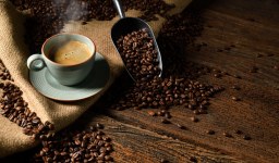 Exportação de café: tudo que você precisa saber sobre o assunto