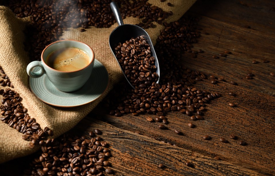 Exportação de café: tudo que você precisa saber sobre o assunto
