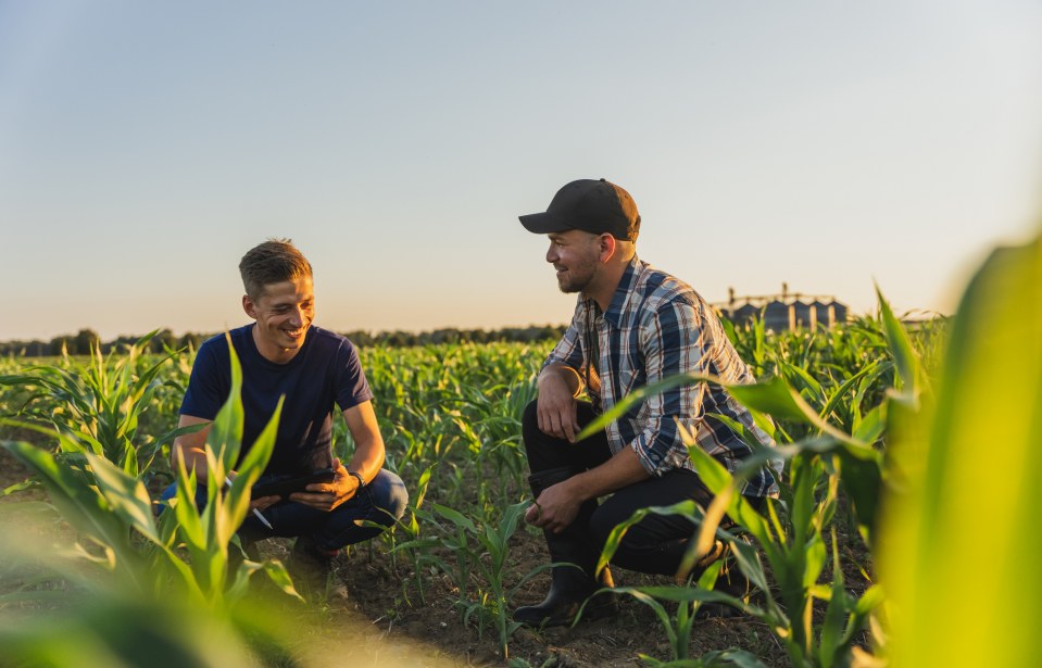 Crédito rural: entenda como o crowdfunding pode ser uma excelente alternativa