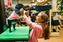 Dicas de Marketing para Abrir uma Pet Shop e Espaço de Saúde e Bem-Estar Pet