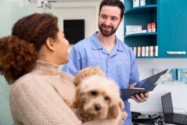 Vantagens de contratar contabilidade para clinica veterinária