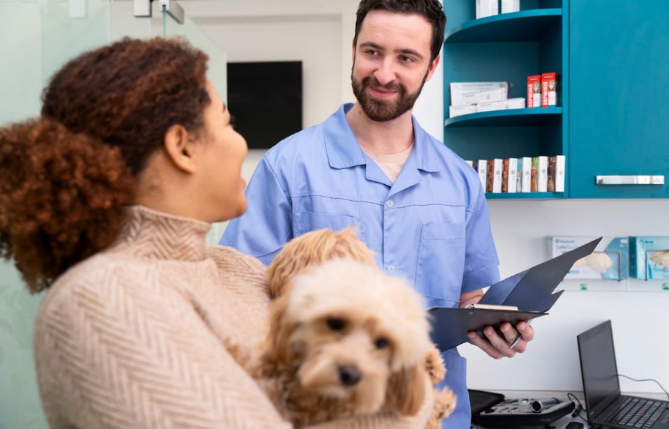 Vantagens de contratar contabilidade para clinica veterinária