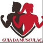 Guia da Musculação