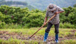 Aposentadoria Rural: como conseguir em 2025?