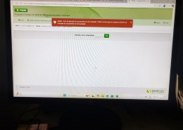 Erro ao gerar DAS