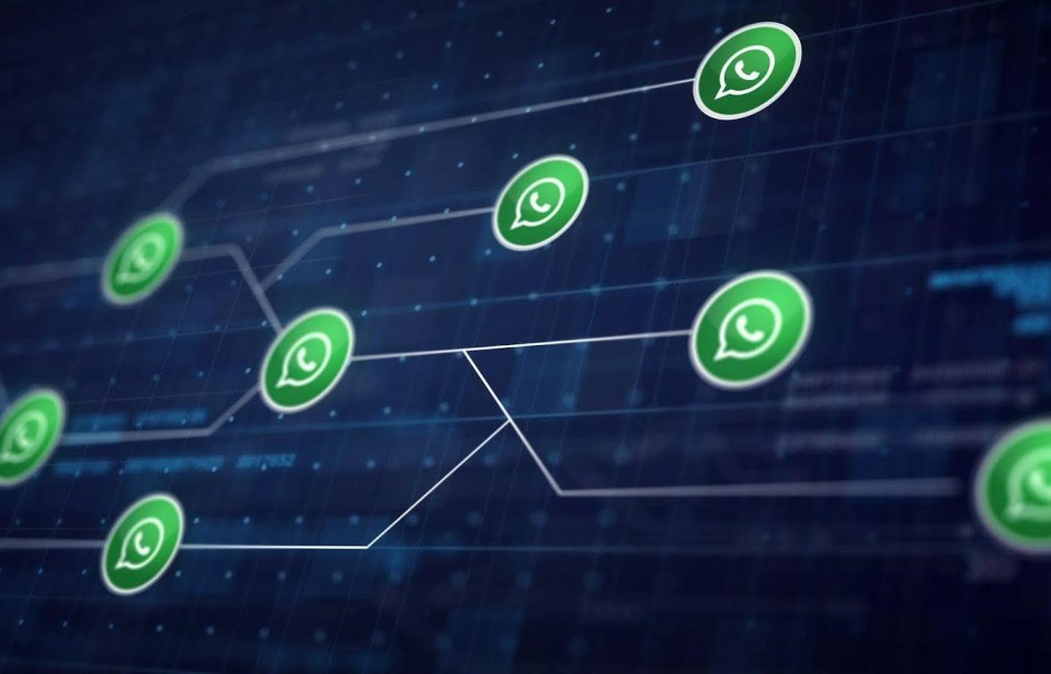 Automação no WhatsApp Business para atendimento, vendas e pós-venda